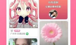 静蕾最新爆料视频大全下载,揭秘幕后真相，带你走进娱乐圈风云