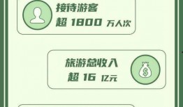 集中爆料最新分析报告怎么写,最新分析报告深度解读