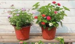 爆料永康医院事件视频最新,真相与争议再引热议