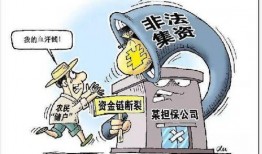 老易养最新爆料,行业最新动态深度解析