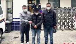 西藏警察爆料案件最新情况,案件进展及关键线索披露