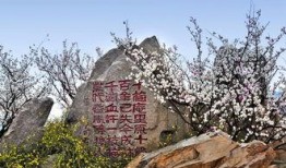 十梅庵今日爆料了吗最新消息,今日热点事件深度解析”