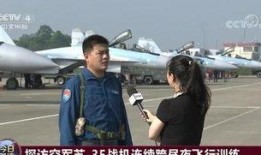 中国飞行员爆料最新消息,揭秘民航安全背后的故事