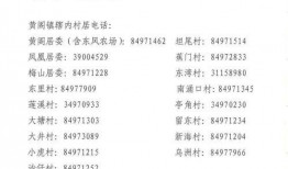 牛不啦大小娜最新爆料,揭秘娱乐圈惊天秘密！