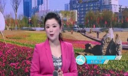 金牛区爆料新闻最新,惊心动魄的救援行动！