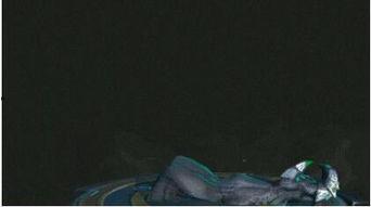 王者兰陵王新皮肤爆料最新